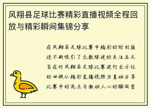 风翔县足球比赛精彩直播视频全程回放与精彩瞬间集锦分享